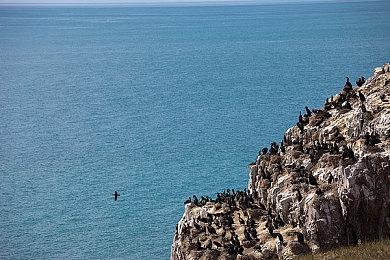 传送门大型MOD《Portal: Revolution》确定明年1月登陆Steam