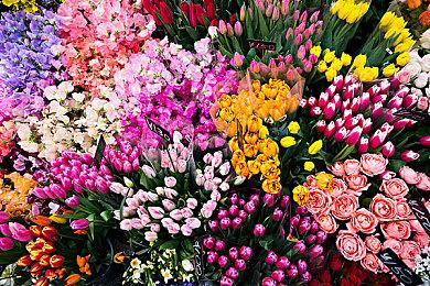 Epic喜加一：《苦痛之环》免费领 下周送《古墓丽影：暗影》